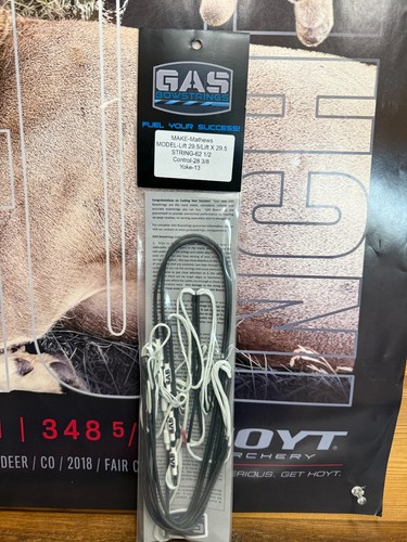 Gas bowstrings mathews lift - gas,